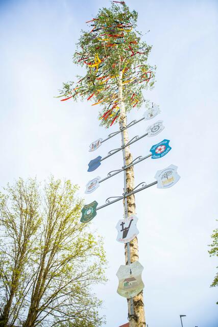 Foto: Jan Koenen - Stadt Dillingen