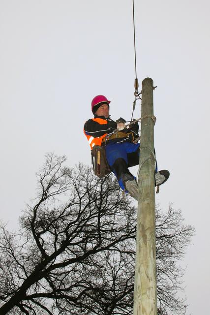Bei der Renovierung der Straße zur Bäldleschwaige mußten die Telefonmasten abgebaut werden. Ein "Postler" mit Steigeisen verlegt die Telefonleitung. Bild: Hertha Stauch