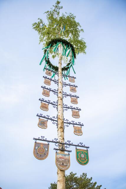 Foto: Jan Koenen - Stadt Dillingen