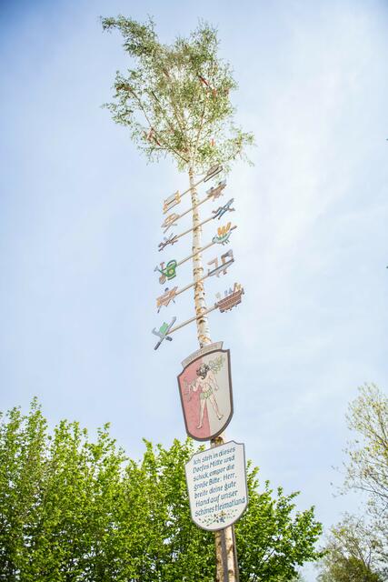 Foto: Jan Koenen - Stadt Dillingen