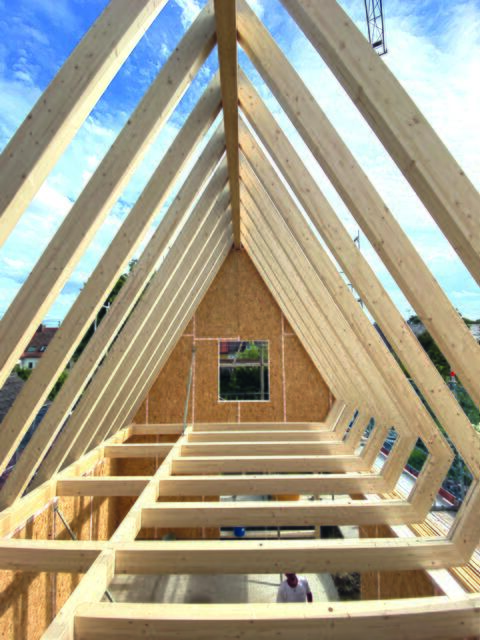 Der Anbau ist ein Meisterwerk aus Holzständerbau. | Foto: studio pitliberman