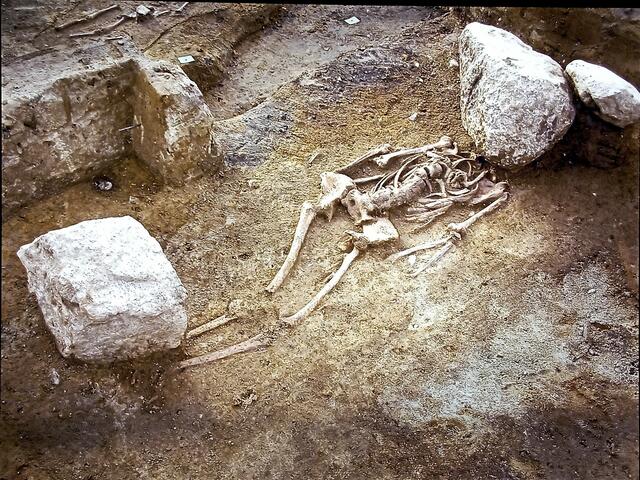 Grabstätte einer Wiedergängerin, 45 - 50 jährige Frau mit schweren Steinen auf Beinen und Kopf 
11.-12. Jh AD aus Neumeichow, Brandenburg