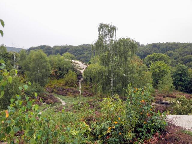 Trockenlandschaft auf dem Questenberg