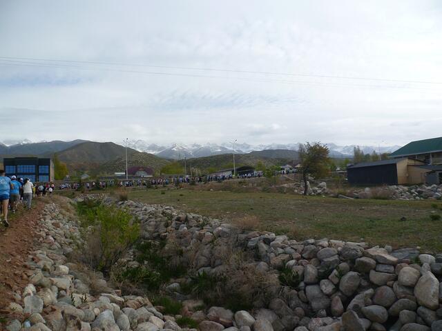 Starterfeld auf den ersten 100 Metern.
