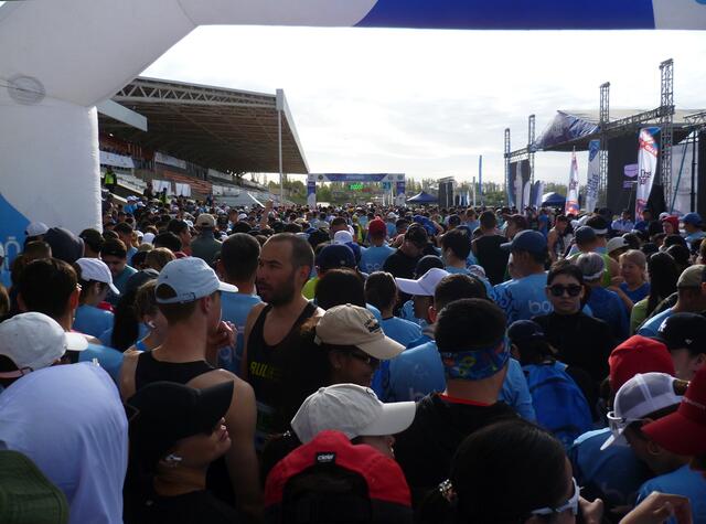 Das Starterfeld 10 Kilometer vor dem Spargelsprinter …
