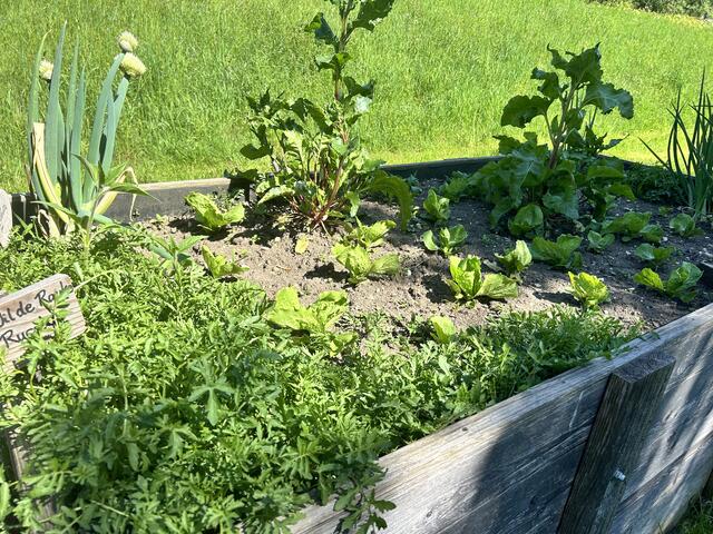 Foto: Ramona Nahirni-Vogg