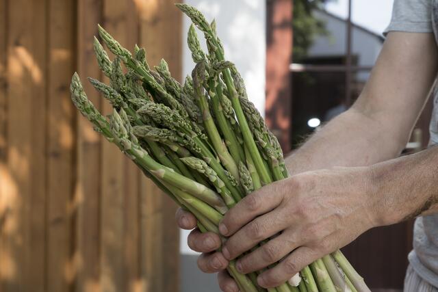 Sabinas Kochstudio -  Lauwarmer Spargelsalat mit Erdbeeren - Spargel vom Feld der Familie Losinger in Friedberg/Wulfertshausen | Foto: FSeventfoto