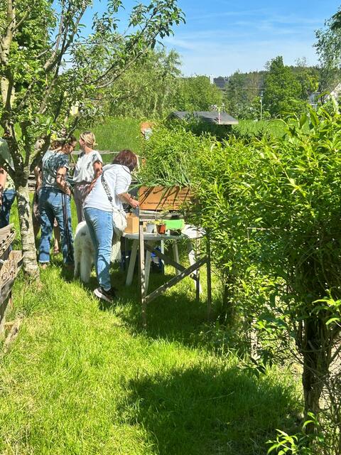 Foto: Ramona Nahirni-Vogg