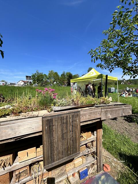 Foto: Ramona Nahirni-Vogg