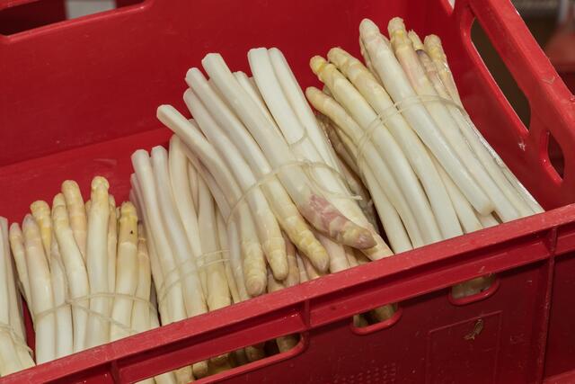 Sabinas Kochstudio -  Lauwarmer Spargelsalat mit Erdbeeren - Spargel vom Feld der Familie Losinger in Friedberg/Wulfertshausen | Foto: FSeventfoto