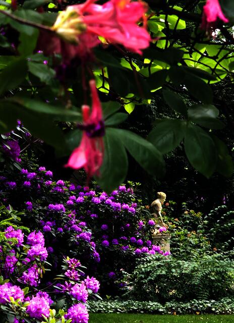 Blütenpracht im Mai