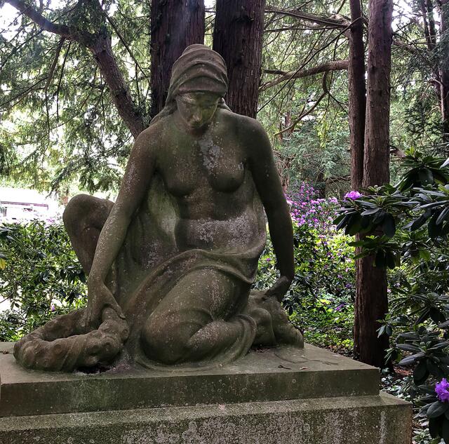 Blütenpracht im Mai