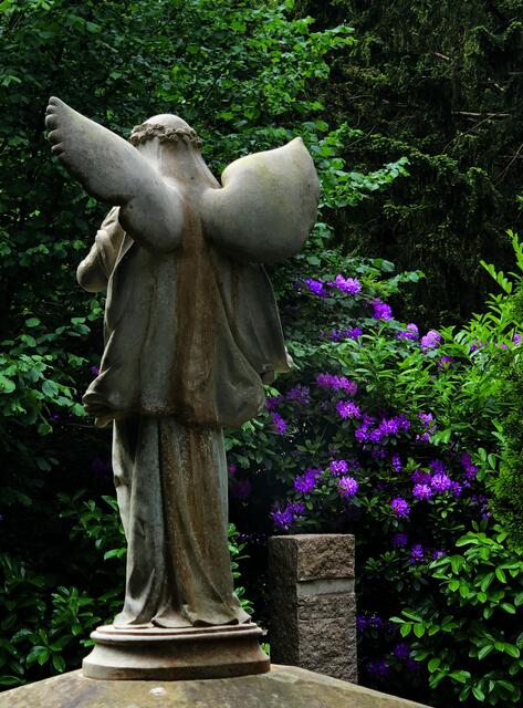 Blütenpracht im Mai