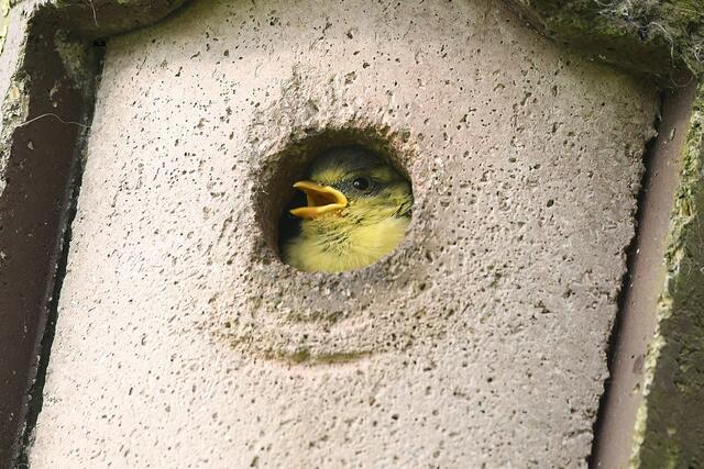 Foto: Copyright Andreas Schäfer