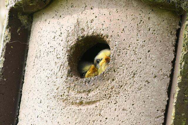 Foto: Copyright Andreas Schäfer