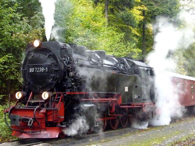 Wer nicht so gut zu Fuß ist, fährt mit der Harzquer- oder der Brockenbahn.