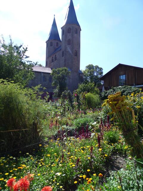 Bis zum 1000 Jahre alten Kloster Drübeck aus ottonischer Zeit ist es nur ein Katzensprung.