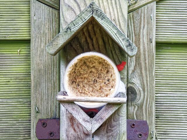 Derzeit frassen hier vorrangig die Buntspechte und nur gelegentlich die Meisen aus dem Becher an der Grundstücksgrenze!