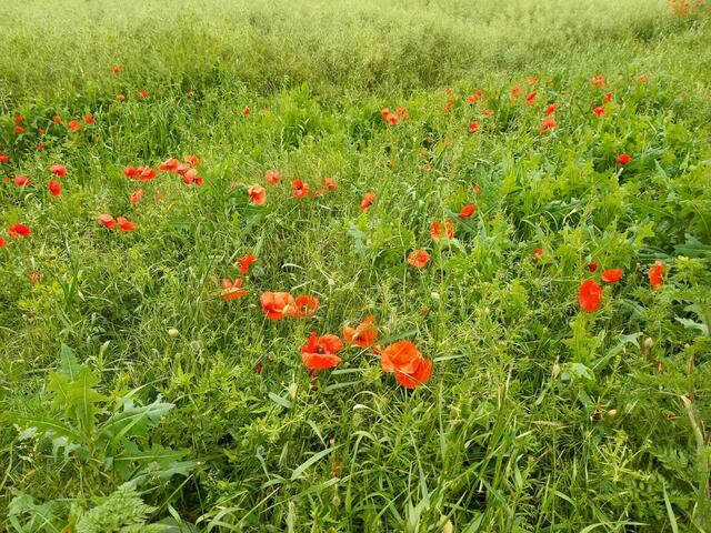 Unterwegs ...
