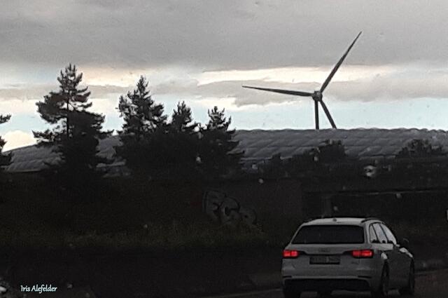 Foto: Iris Alefelder