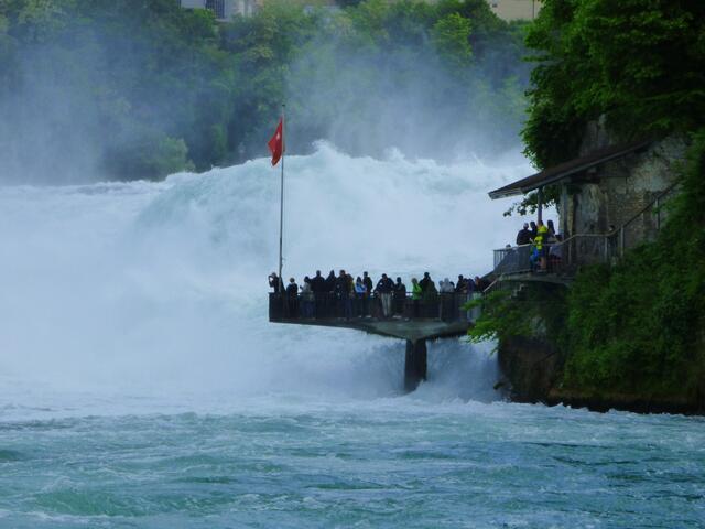Blick zurück zum Rheinfall