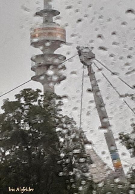 Foto: Iris Alefelder