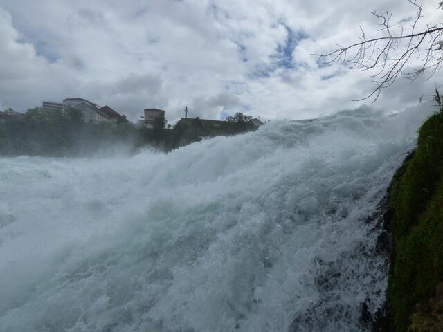 ...................kann manchmal noch ganz schön aufbrausend sein!