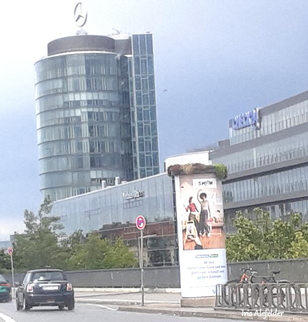 Foto: Iris Alefelder