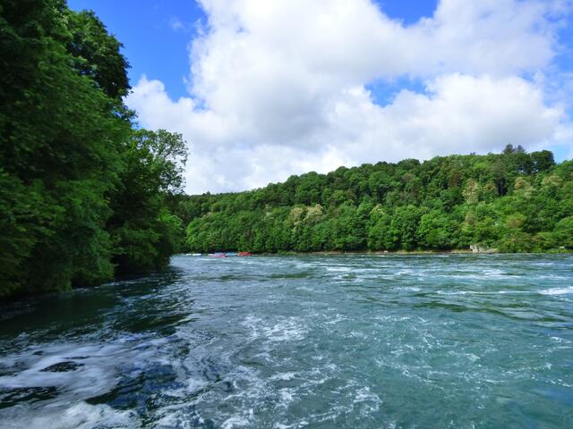 So, ich habe mir auch eine kleine Bootsfahrt gegönnt!