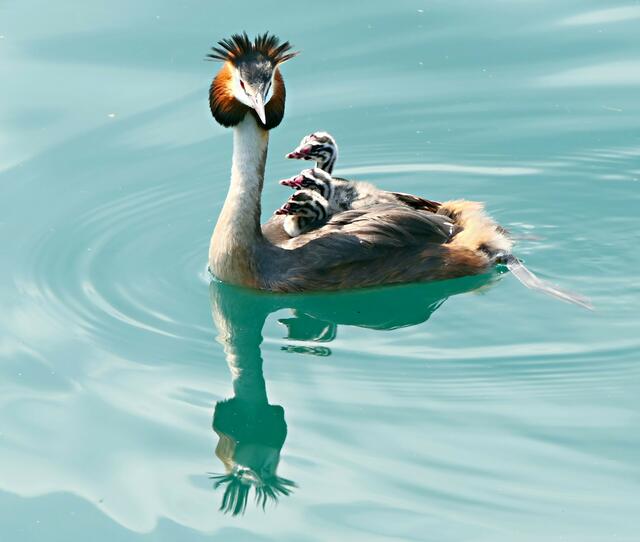 Hier ein flotter Dreier
