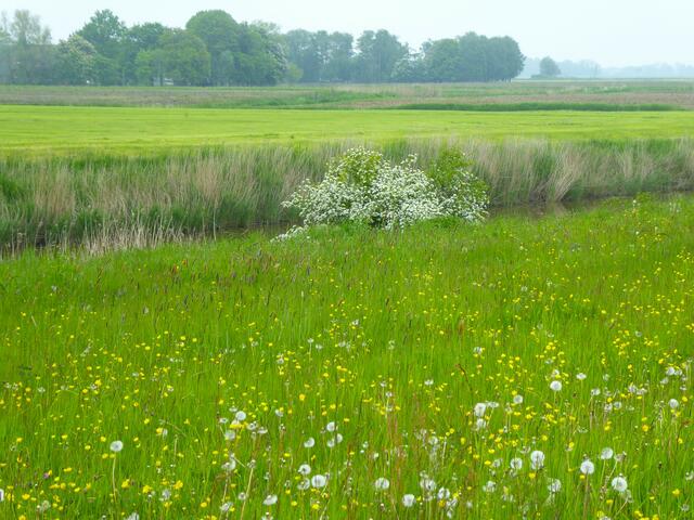 Blick in die Landschaft | Foto: Shima Mahi