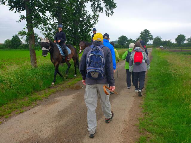 Wandern in der Leinemasch