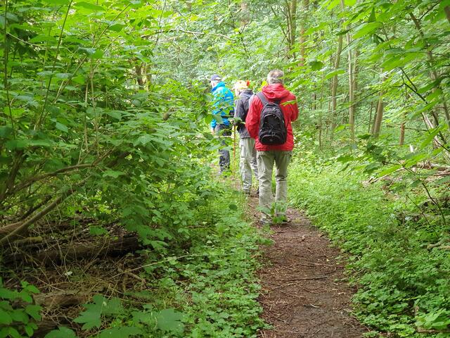Der schmale Pfad führt die Wanderer um den See 