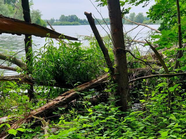 Viele Seen und Teiche liegen am Wegesrand