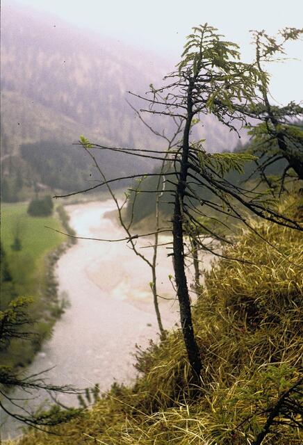 Die Isar bei Lenggries