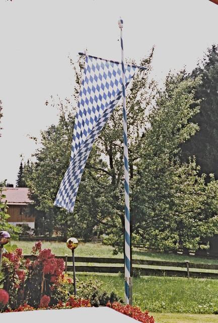 zurück beim Anderl