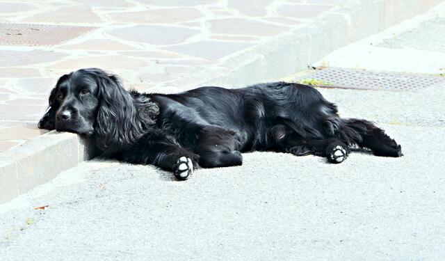 Relaxen in der Sonne ...