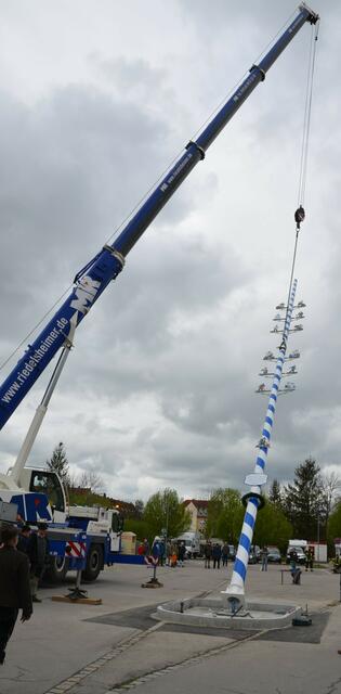 Der Kran zog den Baum hoch | Foto: Anke Maresch