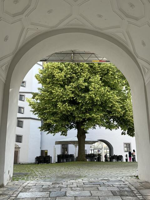 Schloss Höchstädt — Blick in den Innenhof | Foto: Sandra Kost