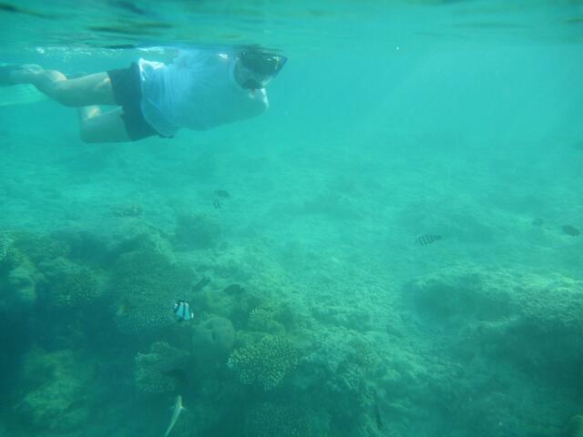 Der #Spargelsprinter unter Wasser
