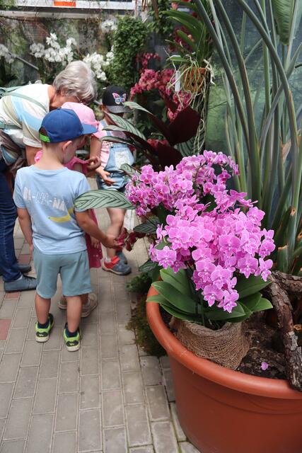 im Orchiedeen Pavillon, alles echt