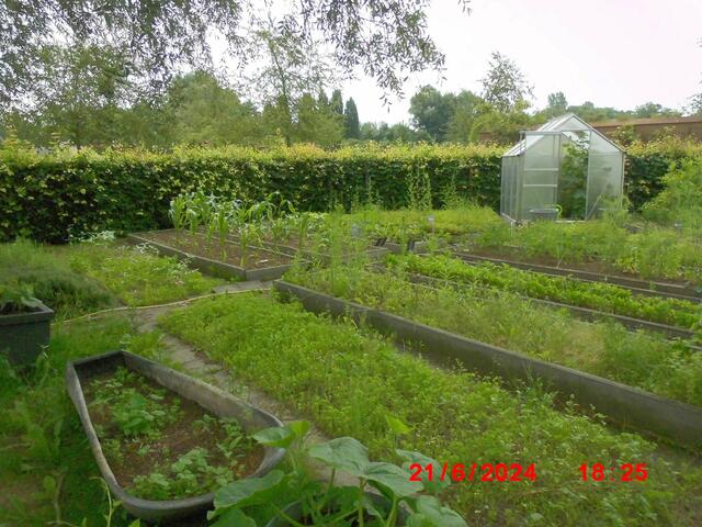 Küchengarten am Ruderhaus