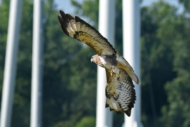 Foto: Copyright Andreas Schäfer