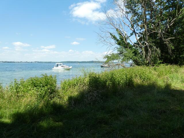 Der Bootsanleger am Hafen bleibt leer.