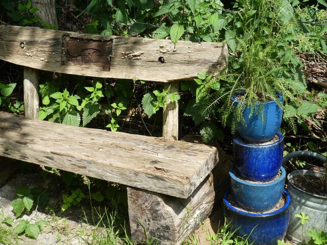 Gehört zum grünen Klassenzimmer