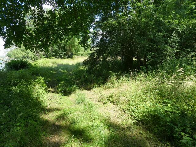 Hier war einmal ein Wanderweg