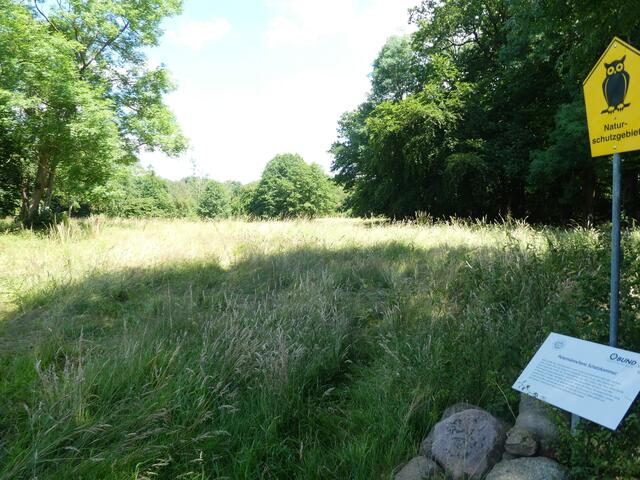 Die Wiesen wachsen zu, deswegen gibt es dort auch keine Wildblumen mehr.  