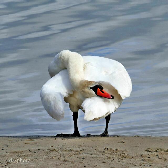 Foto: dieter@senger