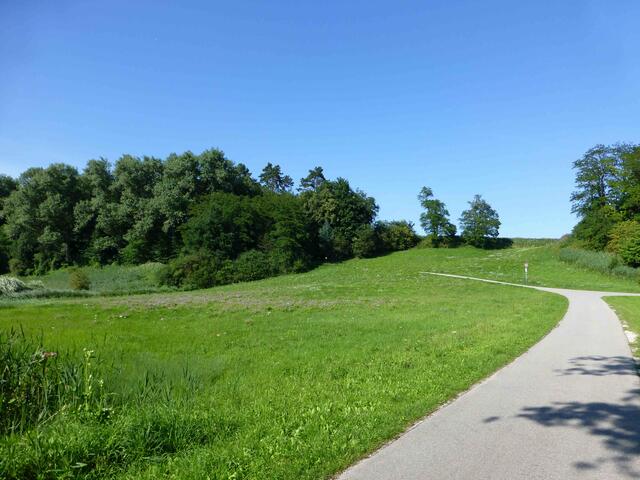 Aufstieg zum Mezgerhölzl | Foto: Dr. Hubert Raab