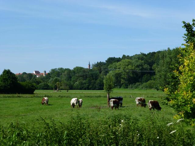 Am Wanderweg | Foto: Dr. Hubert Raab